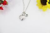Best Birthday's Gift for Girlfriend, Friends, Daughter, Granddaughter, Stainless Steel Necklace, TINY Heart Locket, N4520