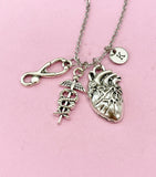 Anatomy Heart Stethoscope Caduceus Charm Silver Necklace, Cardiologist Gift, Medical School Student Gifts, N5283N