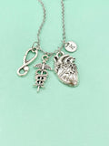 Anatomy Heart Stethoscope Caduceus Charm Silver Necklace, Cardiologist Gift, Medical School Student Gifts, N5283N