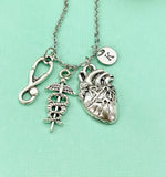 Anatomy Heart Stethoscope Caduceus Charm Silver Necklace, Cardiologist Gift, Medical School Student Gifts, N5283N