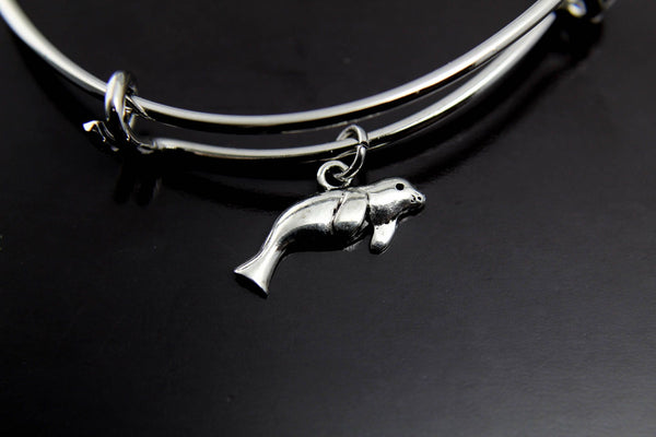 Seal Bracelet Seal Charm Bangle Silver Seal Charm Biologist Gift Biology Bracelet Biology Charm Personalized Bracelet Initial Bangle