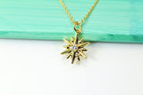 Gold North Star Necklace, Star Charm, AAA Cubic Zirconia Pendant, N2337
