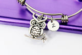 Owl Bracelet, Silver Owl Charm, Bird Charm, Animal Charm, Personalized Gift, N1266