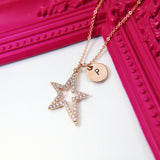 Best Christmas Gift for Sister, Girlfriend, Best Friend, Daughter, Mom, Aunt, Rose Gold North Star Necklace, Navigation Gift, N2978