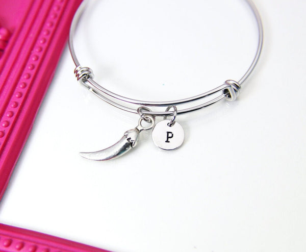 Silver Hot Chili Pepper Charm Bracelet, N2308