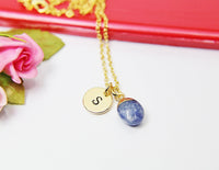 Blue Spot Jasper Charm Necklace, Natural Gemstone Jewelry N2798