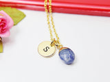 Blue Spot Jasper Charm Necklace, Natural Gemstone Jewelry N2798