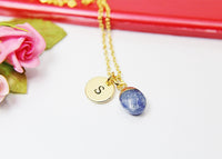 Blue Spot Jasper Charm Necklace, Natural Gemstone Jewelry N2798