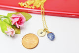 Blue Spot Jasper Charm Necklace, Natural Gemstone Jewelry N2798