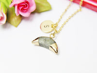 Labradorite Necklace, Natural Gemstone Jewelry N2812