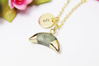 Labradorite Necklace, Natural Gemstone Jewelry N2812