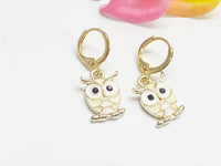 Cute Owl Earrings, Owl Lover Gift, Valentine Gifts, Perfect Gift For Daughter Granddaughter Teen Girl Girlfriends, Best Friends Gift, N3055
