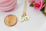 November Necklace Birthday Gift, Chrysanthemum Flower Gift, Personalized Gift, N3743