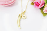 Italian Horn Necklace, Cubic Zirconia, Christmas Gift, Mentor Gift, Appreciation Gift, Thank You Gift, Secret Santa, Personalized,  N3800