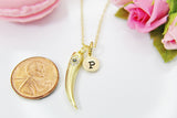 Italian Horn Necklace, Cubic Zirconia, Christmas Gift, Mentor Gift, Appreciation Gift, Thank You Gift, Secret Santa, Personalized,  N3800