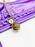 Picture Jasper Necklace, Natural Gemstone Jewelry N4697