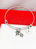 Silver Lion Bracelet Bangle, Lucky Charm, Personized Initial Bracelet, N4936