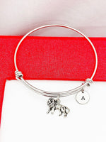 Silver Lion Bracelet Bangle, Lucky Charm, Personized Initial Bracelet, N4936