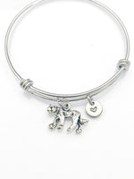 Lion Bracelet, Big Cat, Personized Initial Bracelet, N4955