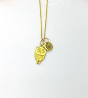 Gold Owl Necklace Birthday Gifts, Personalized Gifts, N5194