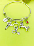 Silver Veterinarian Bracelet Personalized Customized Monogram Made to Order Jewelry, N2622