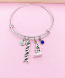 Silver Microscope DNA Charm Bracelet Forensic Scientist Microbiologist Gifts Ideas Personalized Customized Jewelry, N4581