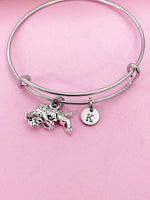 Silver Bull Charm Bracelet Bison Buffalo Wildlife Biologist Farmer Gift Ideas N4576