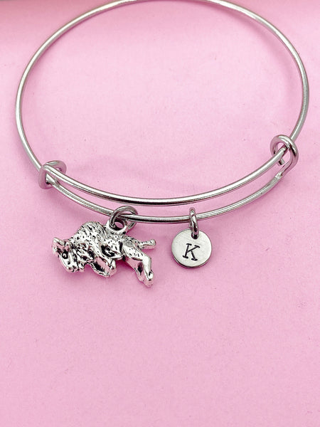 Silver Bull Charm Bracelet Bison Buffalo Wildlife Biologist Farmer Gift Ideas N4576
