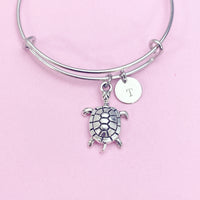 Silver Turtle Charm on Stainless Steel Bracelet, Travel Gifts, N1248B