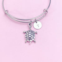 Silver Turtle Charm on Stainless Steel Bracelet, Travel Gifts, N1248B
