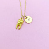 Gold Molar Tooth Charm Necklace, Dentist Dental Jewelry Gifts, N5351