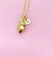 Gold Anatomy Heart Charm Necklace, N5645