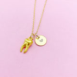 Gold Molar Tooth Charm Necklace, Dentist Dental Jewelry Gifts, N5351