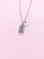 Silver Torah Scroll Star of David Charm Necklace, AN373