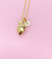 Gold Anatomy Heart Charm Necklace, N5645