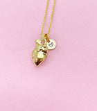 Gold Anatomy Heart Charm Necklace, N5645