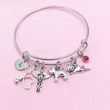 Silver Dog Cat Stethoscope Caduceus Charm Bracelet, Veterinary Bracelet, N4963
