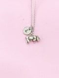 Silver Rhinoceros Charm Necklace, N5125