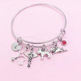 Silver Dog Cat Stethoscope Caduceus Charm Bracelet, Veterinary Bracelet, N4963