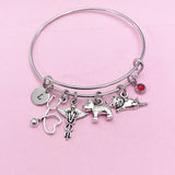 Silver Dog Cat Stethoscope Caduceus Charm Bracelet, Veterinary Bracelet, N4963