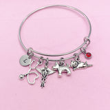 Silver Dog Cat Stethoscope Caduceus Charm Bracelet, Veterinary Bracelet, N4963