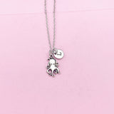 Silver Octopus Charm Necklace, N1485