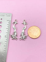Silver Phoenix Charm Necklace, N2875