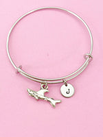 Silver Shark Charm Bracelet, Swimmer Gift, Shark Jewelry Gift, N4590