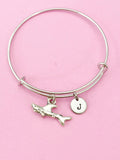 Silver Shark Charm Bracelet, Swimmer Gift, Shark Jewelry Gift, N4590