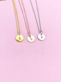 Gold Initial Necklace, Letter Charm, Dainty Necklace, N1