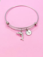 Silver Dolphin Charm Bracelet, N5092