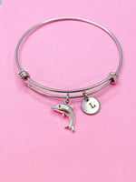 Silver Dolphin Charm Bracelet, N5092