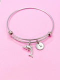 Silver Dolphin Charm Bracelet, N5092