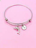 Silver Dolphin Charm Bracelet, N5092